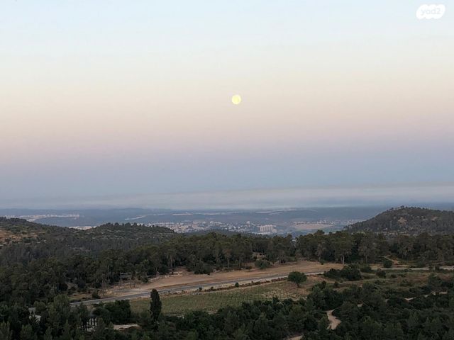 דירה, הפסגה 1, שורש, שורש