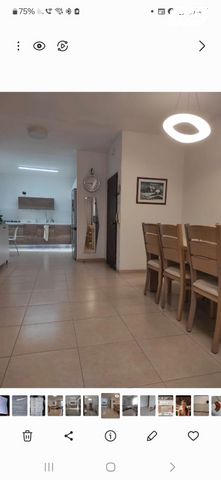 שלמה קפלנסקי 20