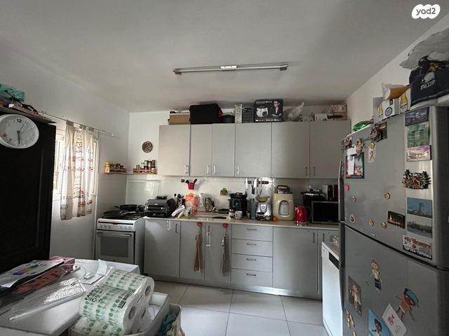 חנה ומיכאל לוין 6