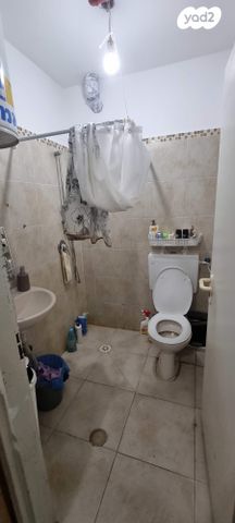 שמעון הצדיק 48