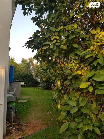 דירה, הדקל 1, ינוב, ינוב