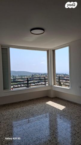 הרב אסף דוד 2