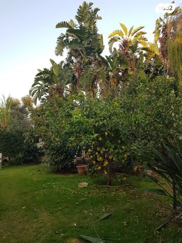 דירה, הדקל 1, ינוב, ינוב