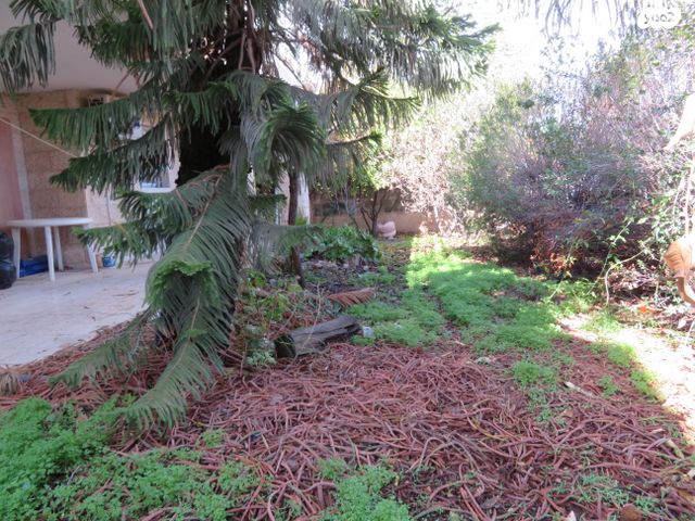 בצלאל בצרווי 11