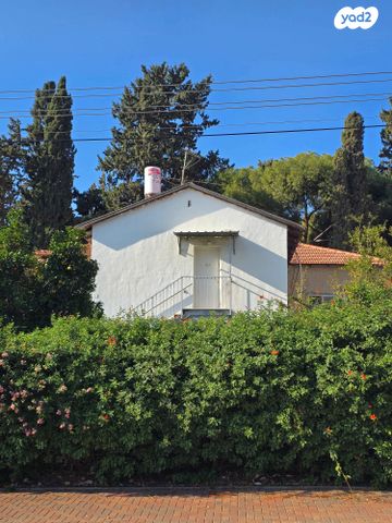 קיבוץ גלויות 13