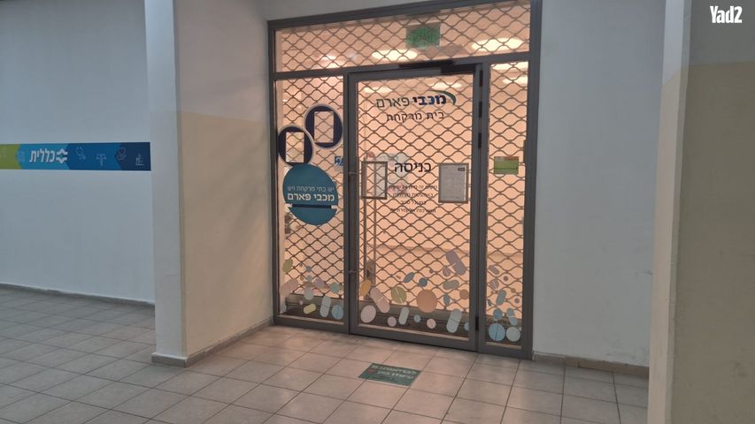 שמחה הולצברג 16