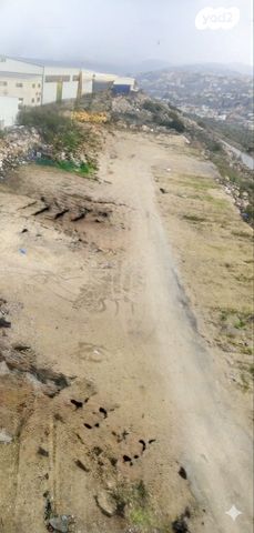 מגרשים, ספיר 10, עלי זהב