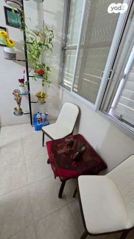 דירה, אילנות, כרמיאל