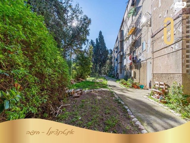 דירה, אינטרנשיונל, רמות רמז, חיפה