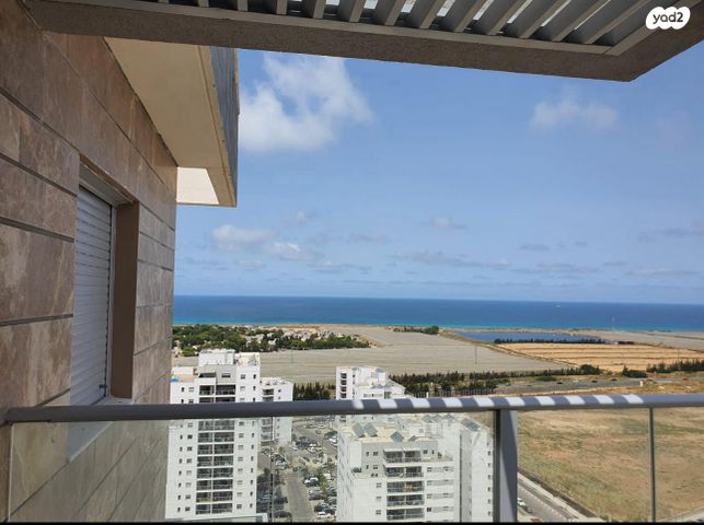 דירה, השחף, החותרים, טירת כרמל