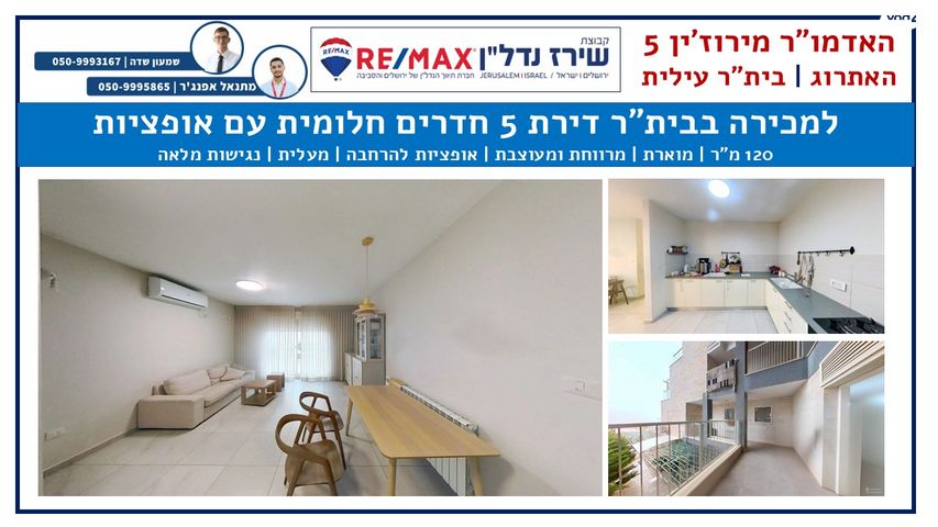 האדמו"ר מרוז'ין 