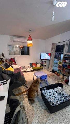 דירה, פתח תקווה