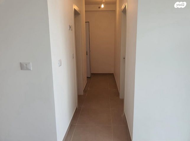 דירה, השחף, החותרים, טירת כרמל