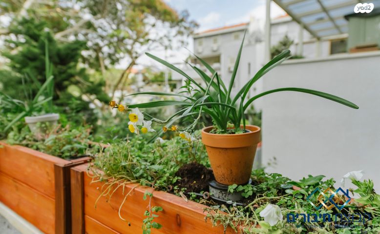 דירה, גבעת הסלעים, ראש העין