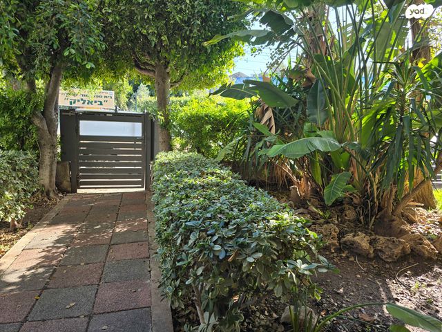 דירה, הנרייטה סולד, מרכז העיר, סביניה, הוותיקה, קרית ביאליק