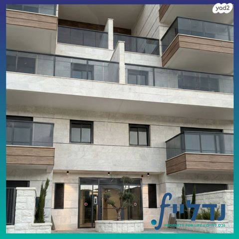 רועי קליין 21