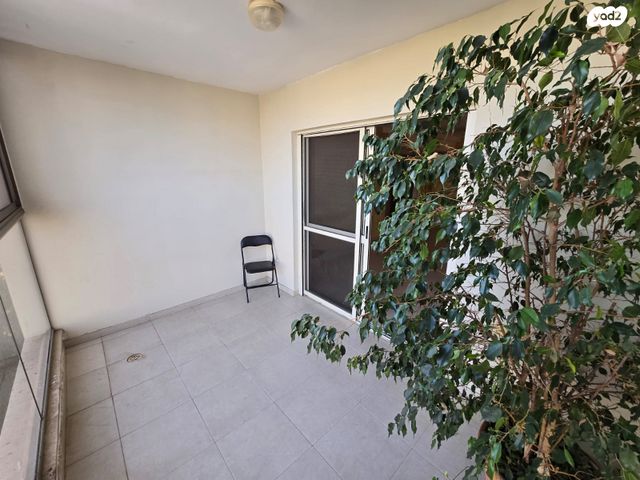 דירה, שבט ראובן, רובע י"ב, אשדוד