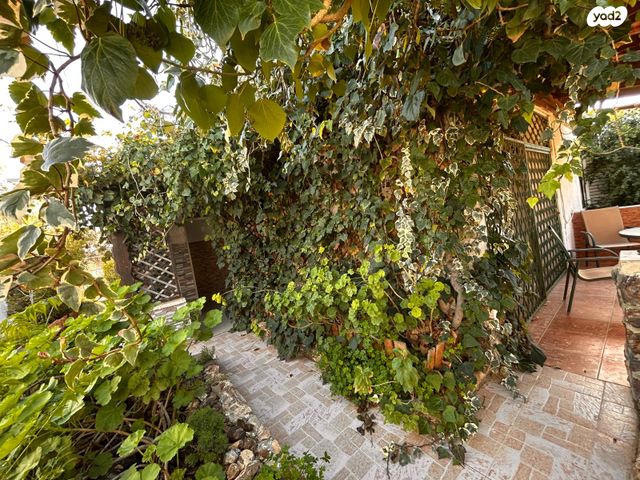 בית פרטי/ קוטג', ערד