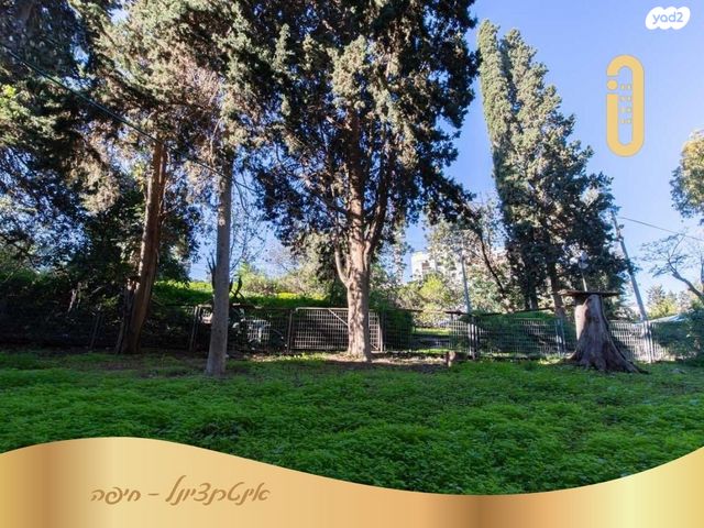 דירה, אינטרנשיונל, רמות רמז, חיפה