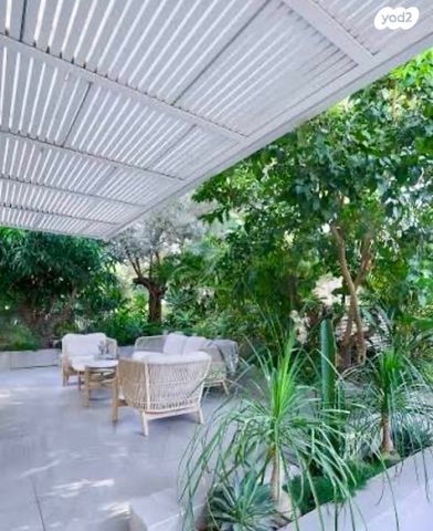 אירוס הארגמן 