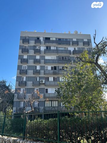 זלמן שניאור 