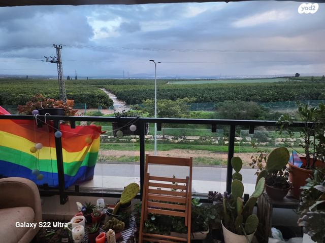 דירה, הנהרונית, בית אליעזר, חדרה