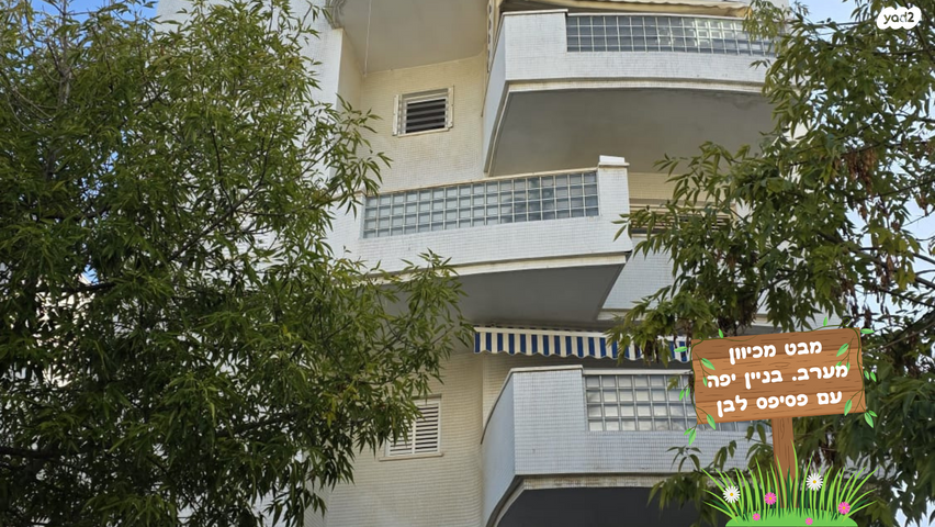 דירה, הרצל, מרכז מערבי, נס ציונה