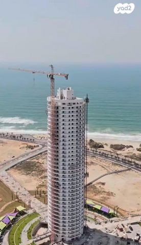 עיר ימים / הבלוט