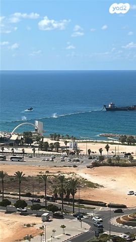 אמנון ליפקין שחק 