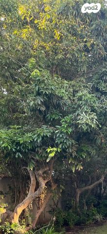 בית פרטי/ קוטג'