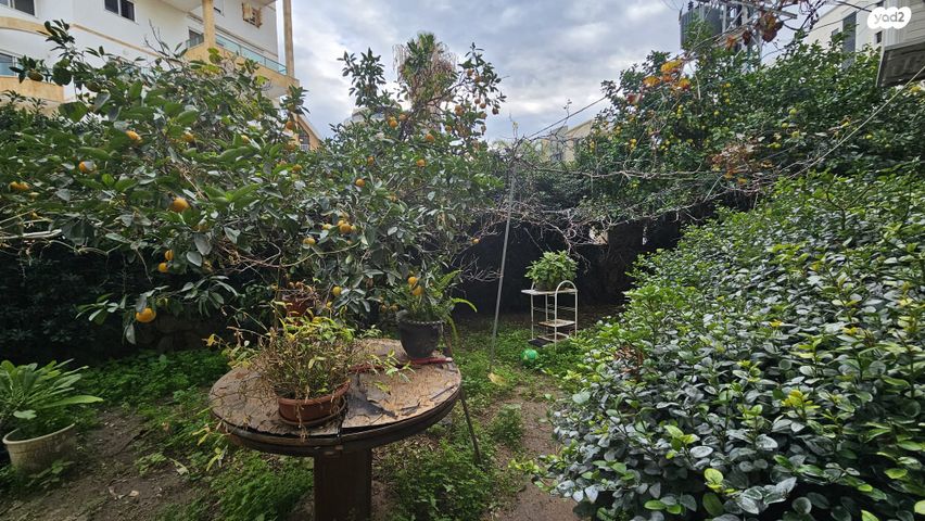 דירה, דוד אלעזר, עיר, מרכז העיר, נהריה