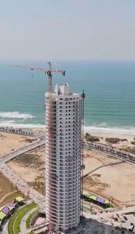 עיר ימים / הבלוט