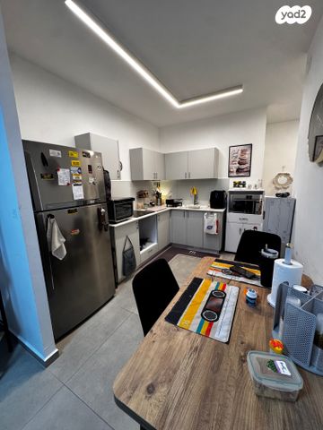 יהושע חנקין 