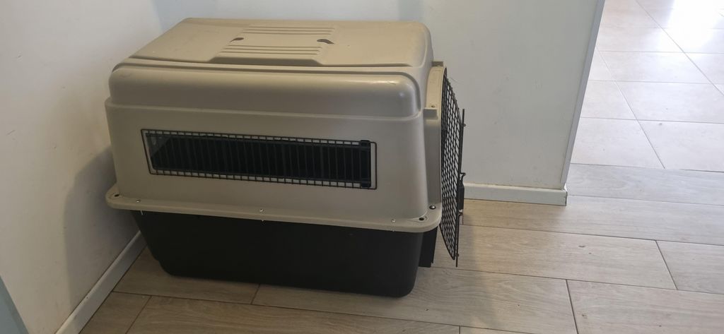 תמונת מודעה - חיות מחמד