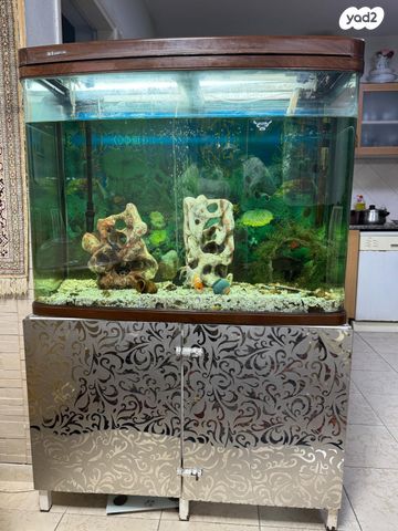 תמונת מודעה - חיות מחמד