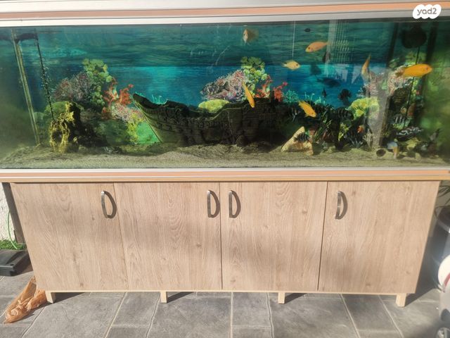 תמונת מודעה - חיות מחמד