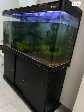 אביזרים | אקווריום