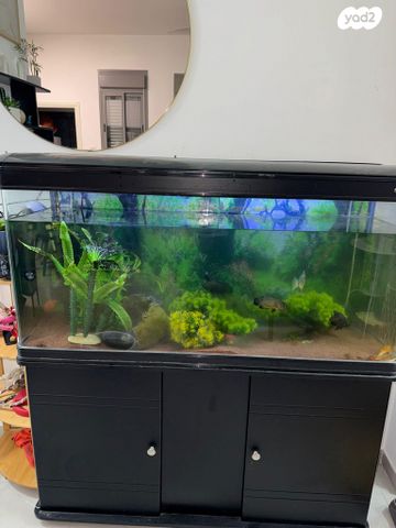 אביזרים | אקווריום