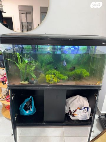 אביזרים | אקווריום