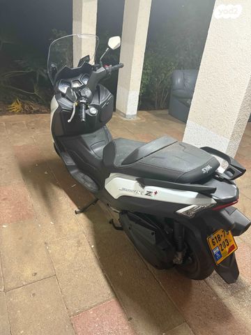 סאן יאנג ג'וי-מקס Z-300