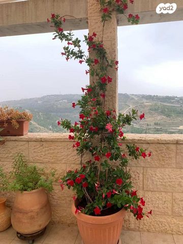 בית פרטי/ קוטג', יורם רונן 30, גבעת משואה, ירושלים