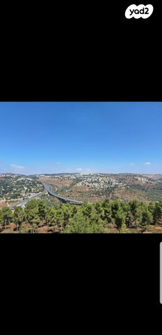 הרב ש. שאולזון 30