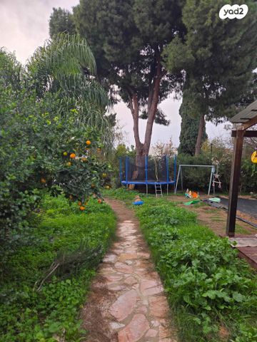 רחוב פינת החי 1