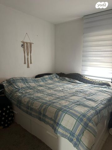 קיבוץ גלויות 17