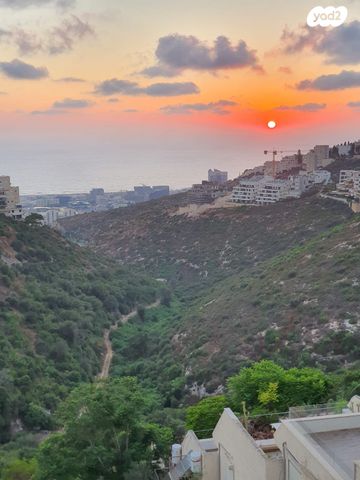 דרך פרויד 14