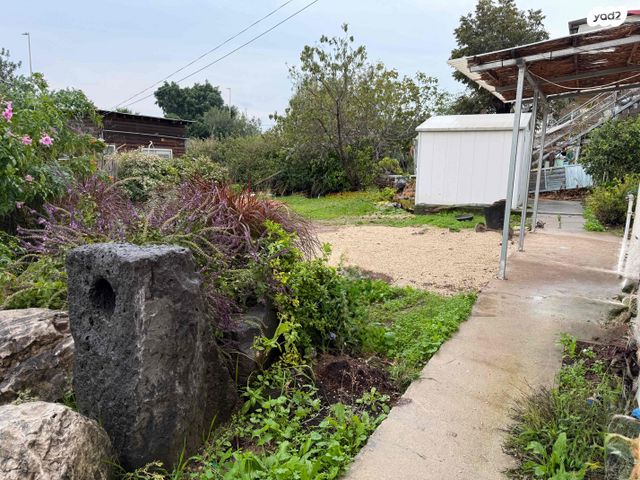 דירת גן, המייסדים 1, כינרת מושבה, כינרת מושבה