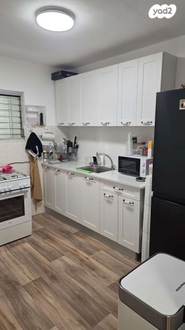 פנחס ספיר 13