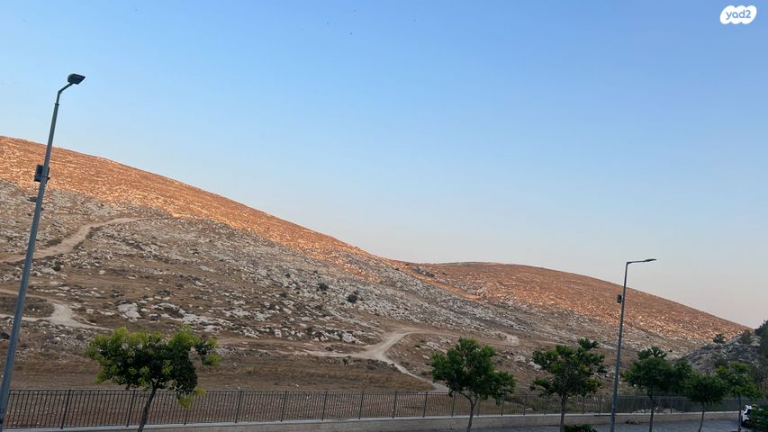 חנה רחל מלודמיר 1