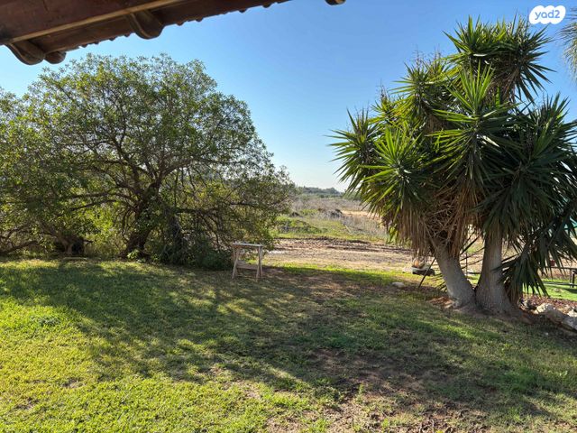 חזית הדרום 51