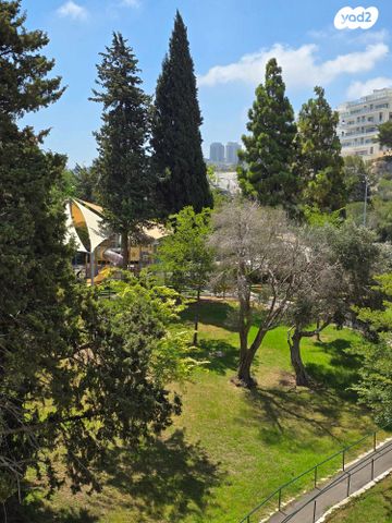 משה גוט לוין 46